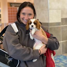 Cavalier King Charles Spaniel and Poodle Puppies from Red Skye Cavaliers