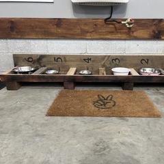 Saint Berdoodle Puppies from Highland Ridge Doodles