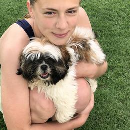 Shih Tzu Puppies from Willow Lane Shih Tzus