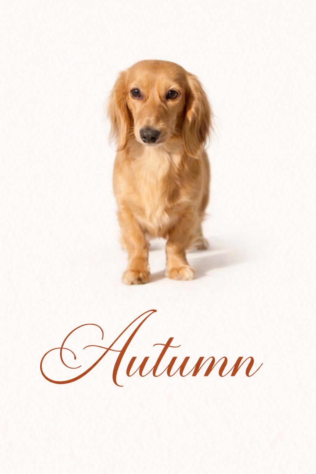 Autumn