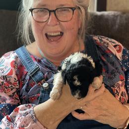 Bernedoodle Puppies from Northern NY Bernedoodles