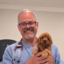 Cavapoo puppies from Kingdom Bound By Design