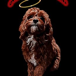 Cavapoos, Goldendoodles, and Poodles from Halo's Heroes Doodles