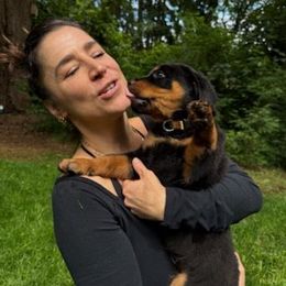 Orange boy - Black and mahogany male Rottweiler puppy in Lebanon, Oregon from SOUTH SANTIAM ROTTWEILERS