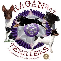 Rat Terrier Puppies from RaganRat Terriers