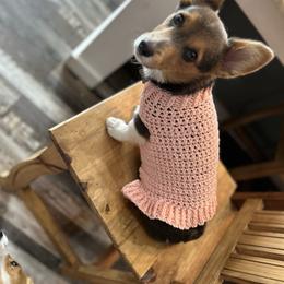 Trixie - Blue female Pembroke Welsh Corgi puppy in Flat Rock, Alabama from Fluffy Butt Acres