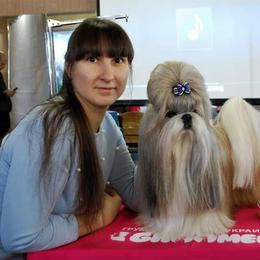 Poodle and Shih Tzu All Grown Up from Ganna Sultan