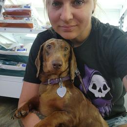 Stormie - Dachshund