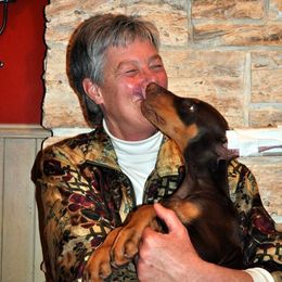 Doberman Pinscher Puppies from Laurel Vail
