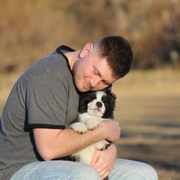 Border Collie Puppies from Kagee Border Collies