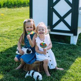 Bernedoodle Puppies from Sleepy Hollow Acres