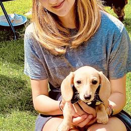 Dachshund Puppies from Northwest Dachshunds