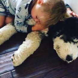 Bernedoodle Puppies from Natchez Trace Doodles