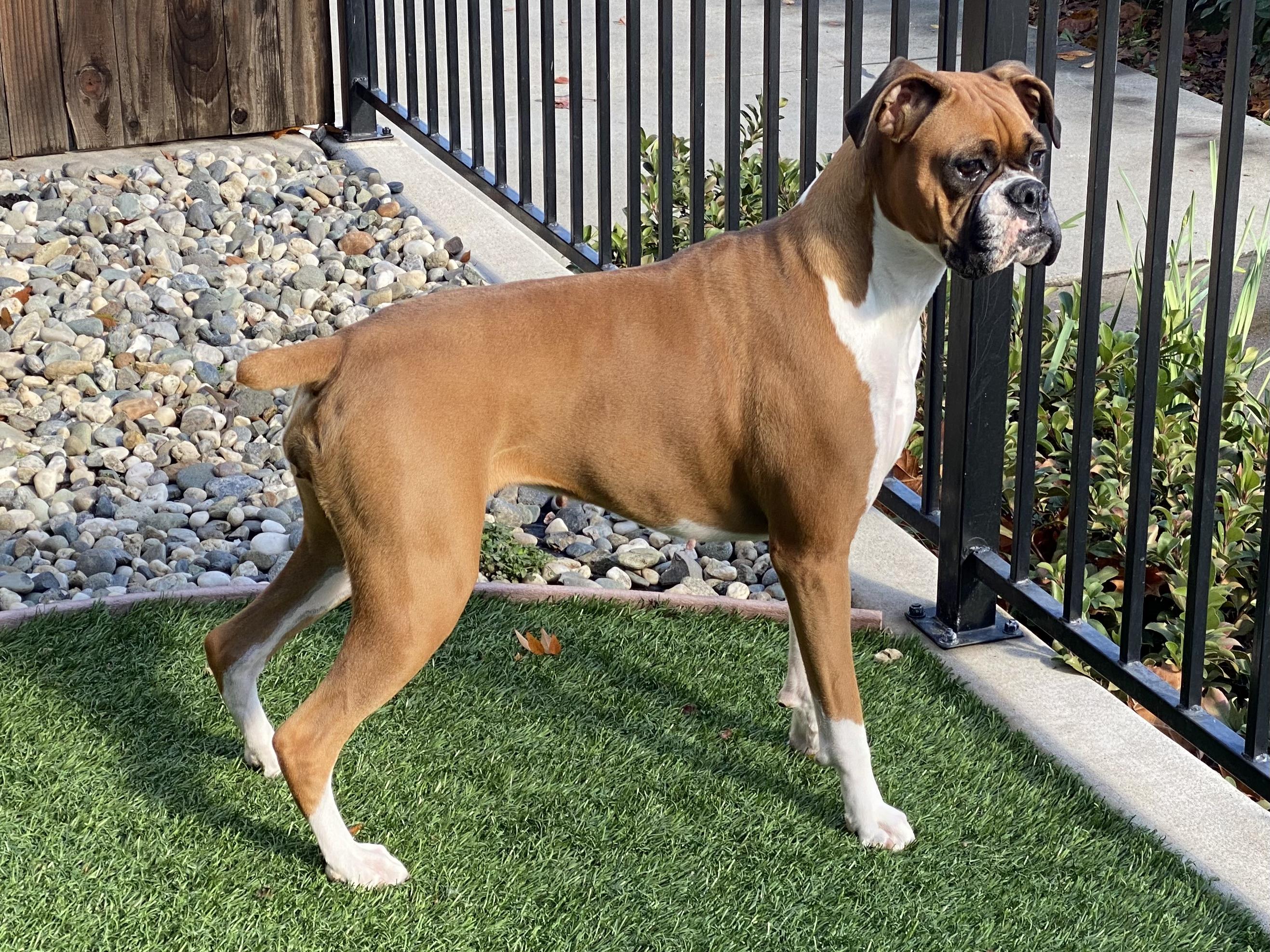 Penny