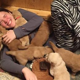 Golden Retriever Puppies from Goldens of Hamm Hollow