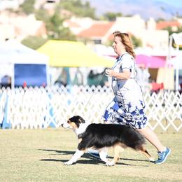 Australian Shepherd Puppies from Cu2 Aussies