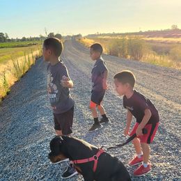 Rottweiler Puppies from Mickey's Rottweilers