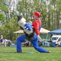 Border Collies from Wynversa Border Collies