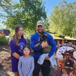 German Shepherd Puppies from Von Hoene Heritage Shepherds