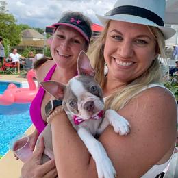 Boston Terrier Puppies from Lola’s House of Bostons & Rescue