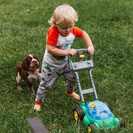 English Springer Spaniel Puppies from 31 Pines Springers & Retrievers