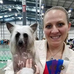 Hero - Chinese Crested