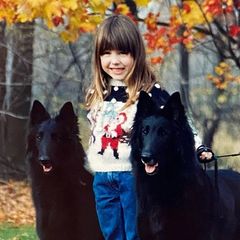Afghan Hounds and Belgian Sheepdogs from Celebre