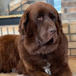 Maggie - Newfoundland