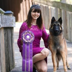 Belgian Tervuren from Ozma Belgians