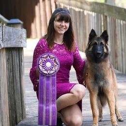 Belgian Tervuren from Ozma Belgians