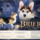 Brier