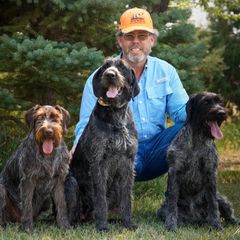 German Wirehaired Pointers from WyoWires German Wirehaired Pointers