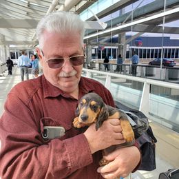 Dachshund Puppies from Doxie Lakes