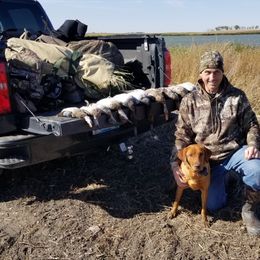 Labrador Retriever Puppies from Sammy G's Gun Dogs