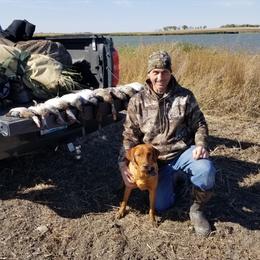 Labrador Retriever Puppies from Sammy G's Gun Dogs