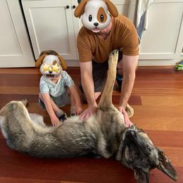 Shelby - Sable female German Shepherd puppy in Oakland, Oregon from VHM German Shepherds
