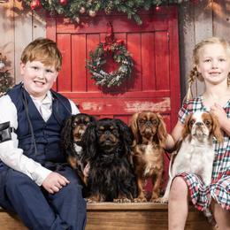 English Toy Spaniels and Irish Red and White Setters from NyaStar