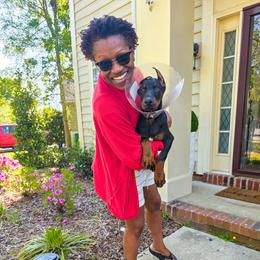 T'Challa (Blue) - Black and rust male Doberman Pinscher puppy in Shelby, North Carolina from IronBee Dobermans