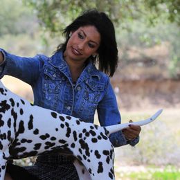 Dalmatians from M V ME