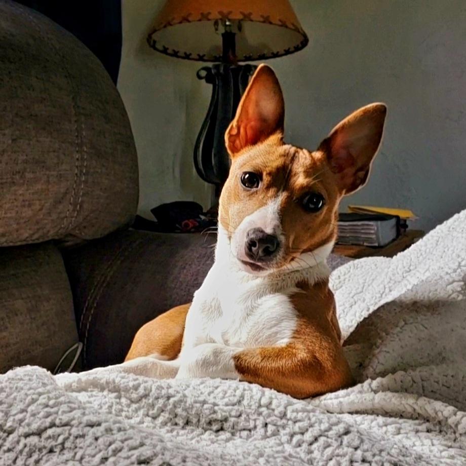 Meri