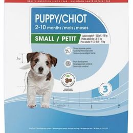 Pomeranian Puppies from Mac Daddy Poms