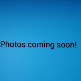 Girl 1 - female Australian Shepherd puppy in Wimberley, Texas from Veritas Australian Shepherds