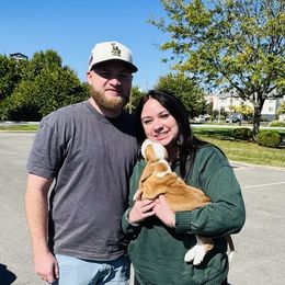 Luna - Lemon and white female Basset Hound puppy in Bellaire, Ohio from Blessed Bassets