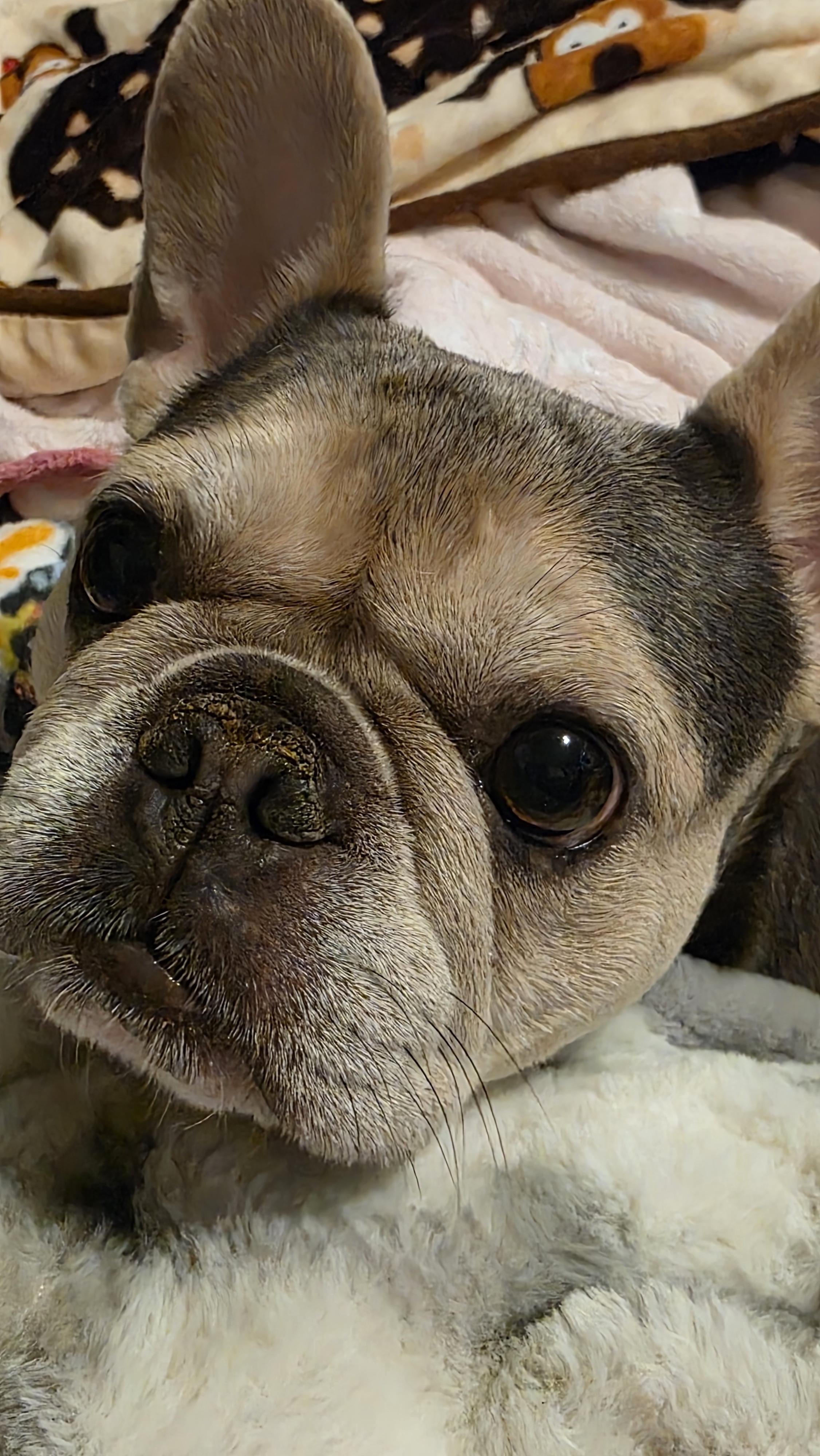 Unnamed