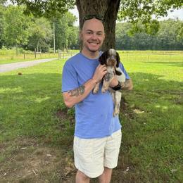 Dark Blue Collar Male - Tri-Roan male English Springer Spaniel puppy in Henagar, Alabama from Windy Oak Kennels