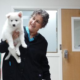 Icelandic Sheepdog Puppies from Valhalla Icelandic Sheepdogs
