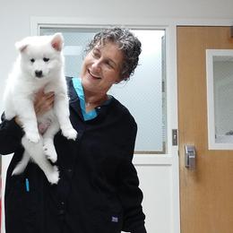 Icelandic Sheepdog Puppies from Valhalla Icelandic Sheepdogs