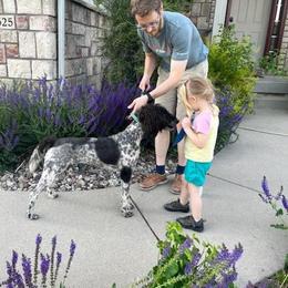 Firework - Black female Labradoodle puppy in Johnston, Iowa from Trinity Doodles