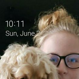 Cocker Spaniel All Grown Up from Laureen's Cocker Spaniels