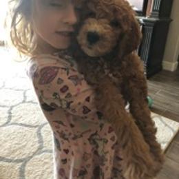 Goldendoodle Puppies from AZ/CO Designer Goldendoodles